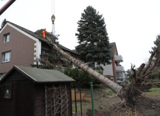 Feuerwehrkran im Einsatz – Baum stürzt auf Hausdach Feuerwehrkran im Einsatz - Baum stürzt auf Hausdach