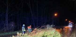 umgestürzter Baum in Garbsen