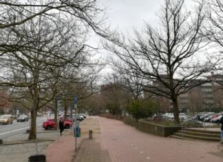 So viele Bäume wie möglich bewahren: Sieben Platanen am Rathaus erhalten Lichtraumprofil-Schnitt PLatanen vor dem Rathaus Langenhagen