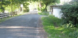 Damit der Stucken-Mühlen-Weg ausgebaut werden kann, müssen zunächst acht Bäume an der Straße entfernt werden.