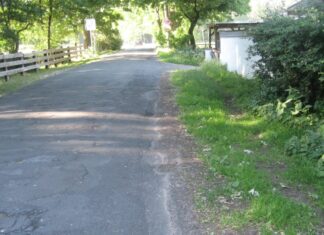 Zwecks Ausbau zweier Straßen müssen zehn Bäume bis Ende Februar weichen Damit der Stucken-Mühlen-Weg ausgebaut werden kann, müssen zunächst acht Bäume an der Straße entfernt werden.