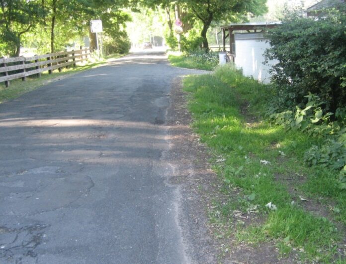 Damit der Stucken-Mühlen-Weg ausgebaut werden kann, müssen zunächst acht Bäume an der Straße entfernt werden.