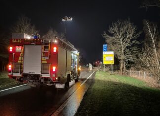Glücklicherweise nur wenige Einsätze für die Feuerwehr Langenhagen – Bäume beweisen größtenteils Standfestigkeit Feuerwehreinsatz Langenhagen