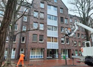 Zur Sicherheit von Passanten werden in Langenhagen einige Bäume gefällt oder eingekürzt Zugversuch Robinie Ostpassage