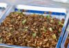 Insekten in Box