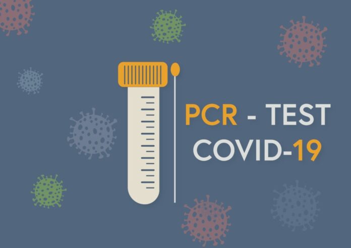 Grafik PCR-Test