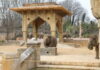 Asiatische Elefanten beziehen die neue Anlage im Erlebnis-Zoo Hannover