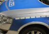 Verletzte Stockente am Streifenwagen