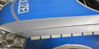 Verletzte Stockente am Streifenwagen
