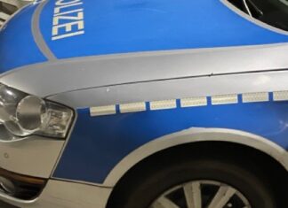 Ente gut, alles gut – Polizei rettet verletzten Wasservogel auf dem Parkplatz Verletzte Stockente am Streifenwagen