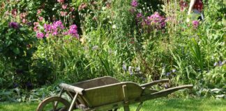 Garten-Schubkarre