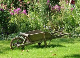 vhs Langenhagen: Gärtnern ganz entspannt – Kurs vermittelt Tipps und Tricks für einen pflegeleichten Garten Garten-Schubkarre