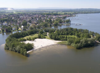 Grüne Schätze: Auf Schatzsuche im Naturpark Steinhuder Meer Badeinsel im Steinhuder Meer