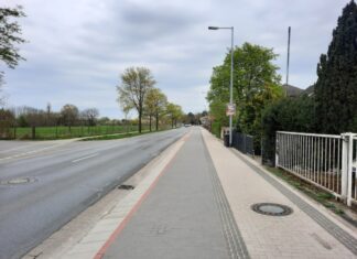 Reuterdamm erhält zwischen Walsroder Straße und Wietzepark neue Fahrbahndecke Reuterdamm Südseite des ersten Bauabschnitts.