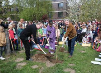 Kirschblütenfest mit Ginkgobaum-Pflanzung Gleich zu Beginn des Kirschblütenfestes pflanzte Bürgermeister Thomas Hermann einen Ginkgobaum als Symbol des Friedens.