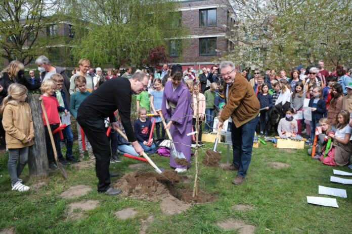 Gleich zu Beginn des Kirschblütenfestes pflanzte Bürgermeister Thomas Hermann einen Ginkgobaum als Symbol des Friedens.