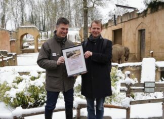 Firma trinovis übernimmt Patenschaft für Elefant Yumi im Erlebnis-Zoo Hannover Zoo-Geschäftsführer Andreas M Casdorff überreicht die Patenschaftsurkunde für Elefantenkuh Yumi an Trinovis-Geschäftsführer Marc Elmhorst