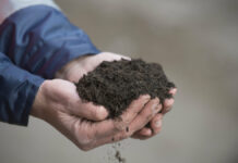 Kostenloser Qualitätskompost für den Garten: aha lädt zum Kompostmarkt in Langenhagen ein Kompost
