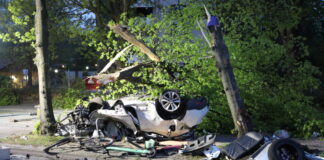 Verfolgungsjagd durch Hannover endet an einem Baum