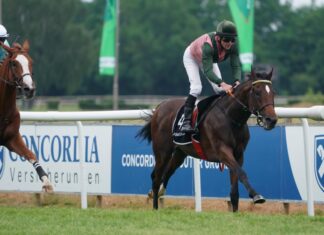 Trotz widriger Wettervorhersage etwa 3000 Besucher beim After-Work-Renntag auf der Neuen Bult Pferderennen Donner Earl siegt