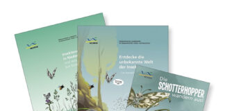 Die drei Broschüren des NLWKN richten sich an Erwachsene, Kinder ab der 3. Klasse sowie an Kinder im Kindergarten und bis zur 2. Klasse.