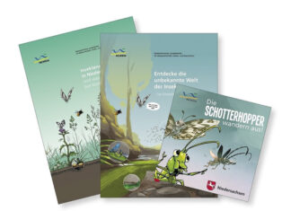 „Die Schotterhopper wandern aus!“ richtet sich vorrangig an Kinder im Kindergartenalter Die drei Broschüren des NLWKN richten sich an Erwachsene, Kinder ab der 3. Klasse sowie an Kinder im Kindergarten und bis zur 2. Klasse.