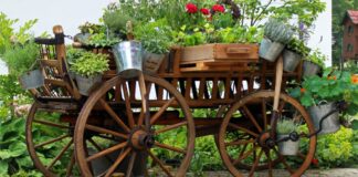 Holzwagen Gartendeko