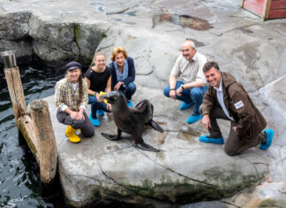 Seelöwin Lotta legt los Seelöwin Lotta im Erlebnis-Zoo Hannover