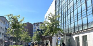 Andreaestraße in der City