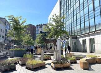 Andreaestraße bietet temporär begrünten Aktionsbereich Andreaestraße in der City