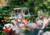 Flamingos vor Bootsfahrt über den Sambesi im Erlebnis-Zoo Hannover