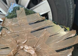 Celler Feuerwehr rettet Hund aus Auto Die entfernte Scheibe des PKW