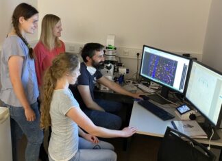 Long COVID: Veränderungen im Gehirn Analyse der Gehirnschnitte am Mikroskop: Anna-Sophia Hartke, Prof. Dr. Franziska Richter Assencio, Cara Schreiber und Christopher Käufer, PhD (vlnr).