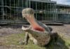 Dinosaurier-Park Münchehagen
