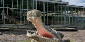 Dinosaurier-Park Münchehagen