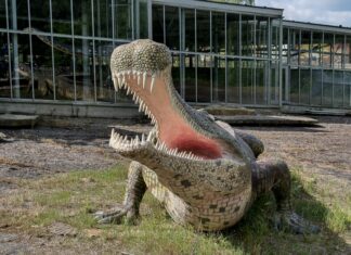 Deutschlands Giganten – größte Dinosaurier-Szene Europas jetzt in Münchehagen Dinosaurier-Park Münchehagen