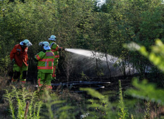 Flächenbrand führt heute zur vierten Alarmierung der Feuerwehr Großburgwedel Feuerwehreinsatz