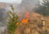 Flächenbrand im Bereich des Lärmschutzwalls am IKEP