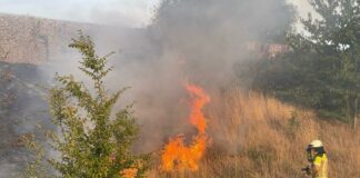 Flächenbrand im Bereich des Lärmschutzwalls am IKEP