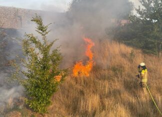 Feuerwehr Kaltenweide: Flächenbrand im Bereich des Lärmschutzwalls am IKEP Flächenbrand im Bereich des Lärmschutzwalls am IKEP