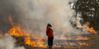 Feuerwehreinsatz - Flächenbrandbekämpfung