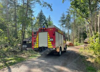 Schwelbrand im Kananoher Forst Feuerwehreinsatz