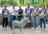 TSV Victoria-Linden übernimmt Patenschaft für Steppenzebra