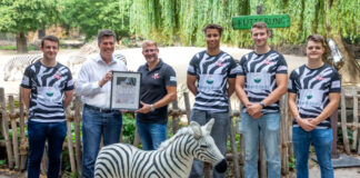 TSV Victoria-Linden übernimmt Patenschaft für Steppenzebra
