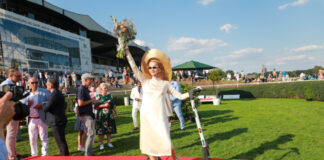 Audi Ascot-Renntag - Neue Bult