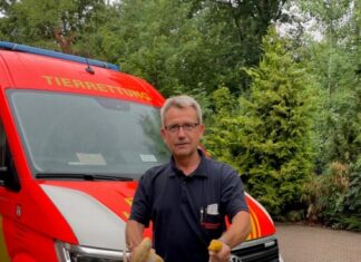 Erneut herrenloser Python in Stöcken eingefangen Feuerwehreinsatz Tierrettung einer Python