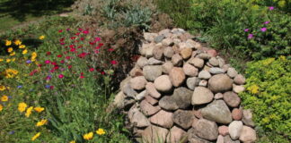 Trockenbeet in Naturgarten