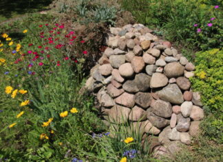 NABU: Acht Tipps gegen Trockenheit im Garten Trockenbeet in Naturgarten