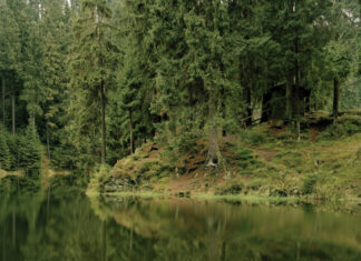 „Teich- und Waldlandschaften“: Ausstellung im Regionshaus Martin Henze - Grumbacher Teich 2009