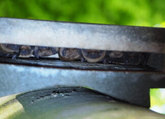 Eine Nacht mit den Fledermäusen im Stadtwald Langenhagen Abendsegler nutzen gerne die Fledermauskästen im Langenhagener Stadtwald und lassen sich gut beim Jagen beobachten.